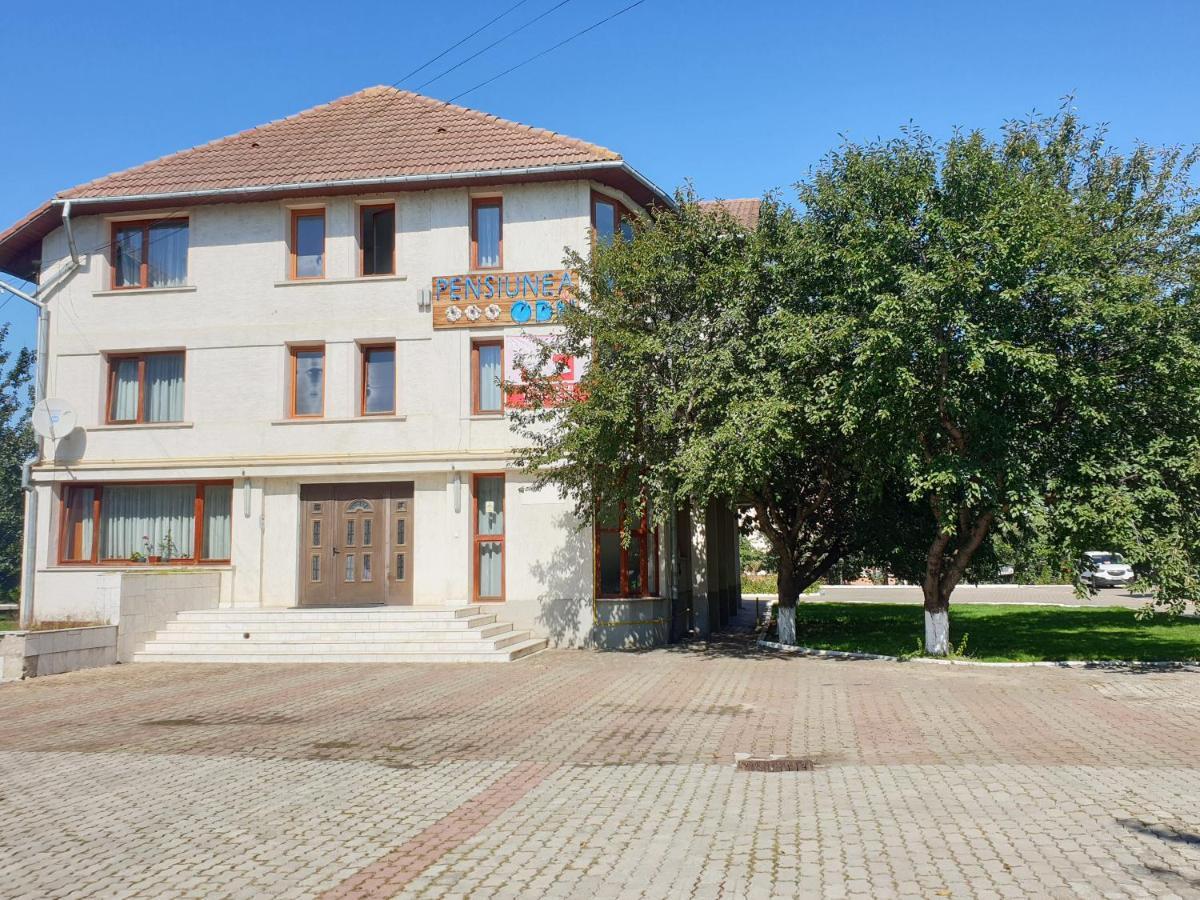 Pensiunea ODN Scheia Exterior foto